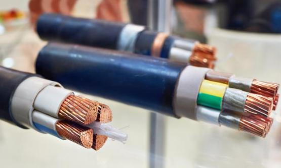 1731314277666098.jpg 1731314254245.jpg